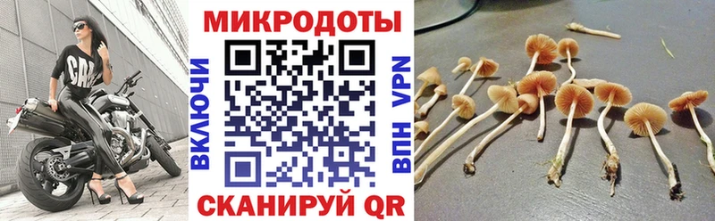 Галлюциногенные грибы ЛСД  Заринск 
