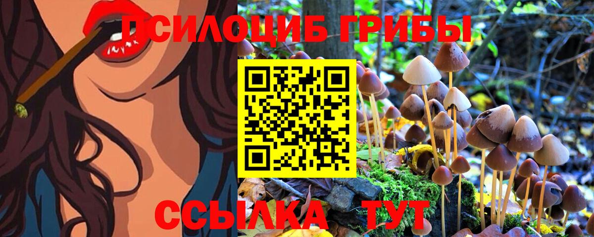 Заринск  Галлюциногенные грибы Psilocybine cubensis  Галлюциногенные грибы мухоморы  хочу наркоту  Вход с VPN 