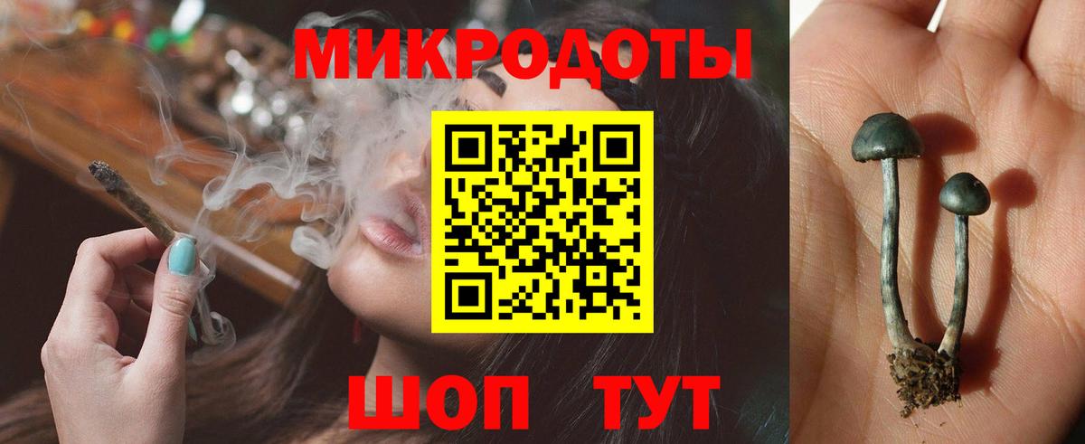 Псилоцибиновые грибы GOLDEN TEACHER Заринск